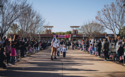 Dallas Youth Sports > Home